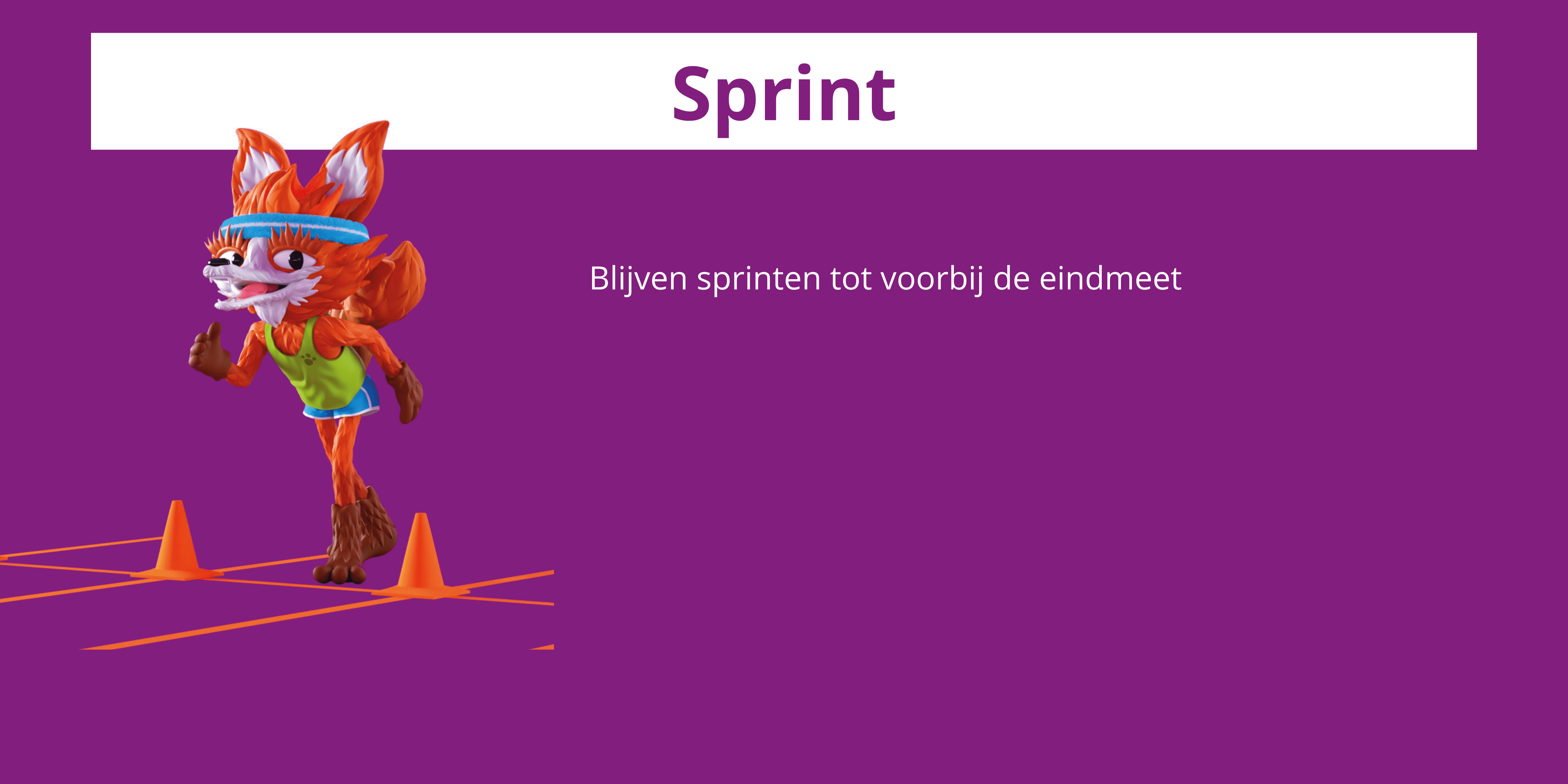 Sprint - Fund 2 - Loop